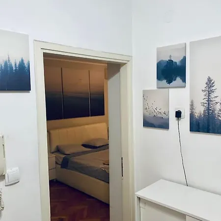 Apartment, Vracar -